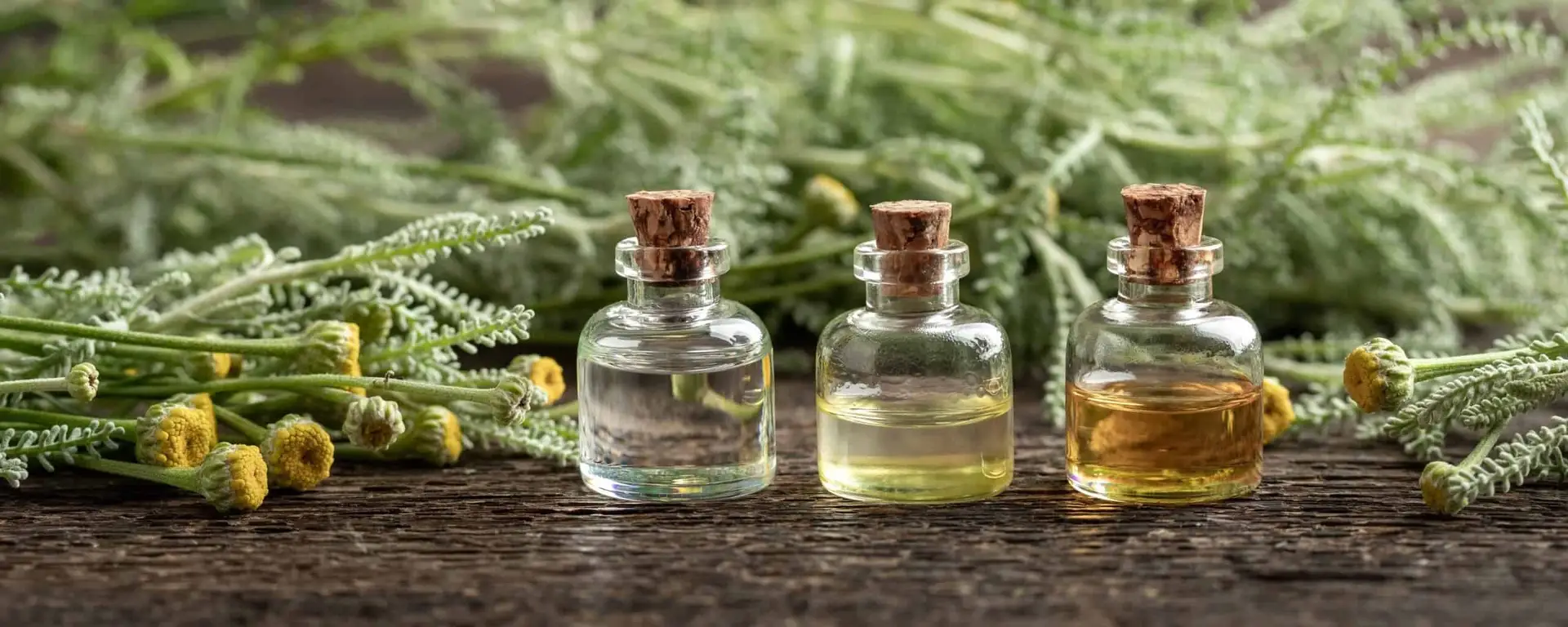 essential-oils
